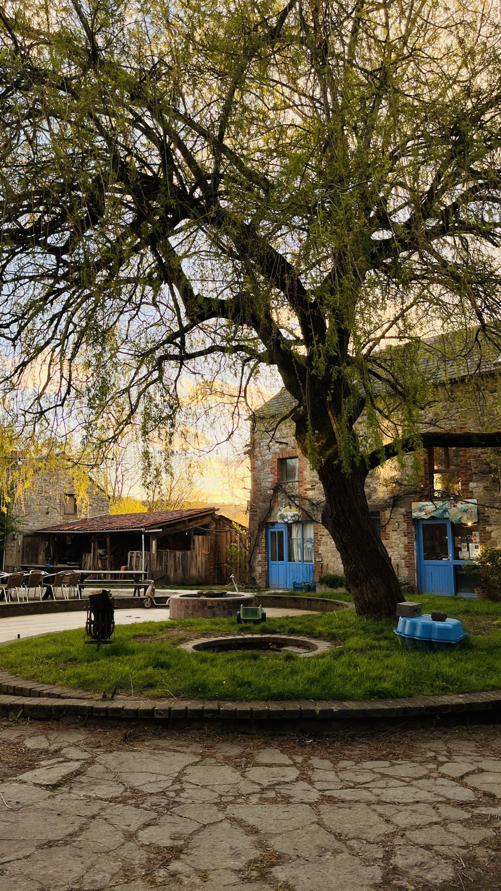 La cour de la ferme et son saule